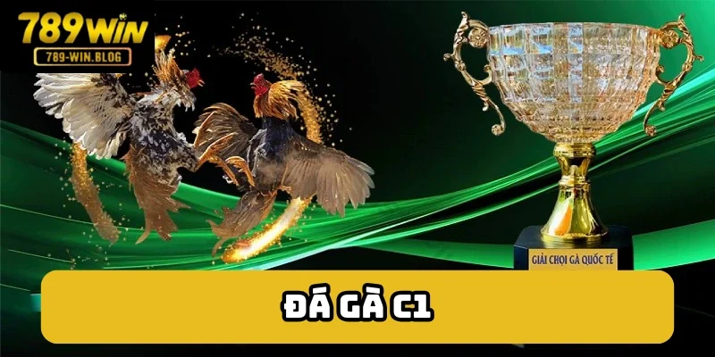 Đá gà C1