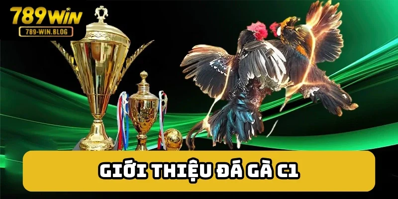 Sơ lược về giải kê chiến hàng đầu - đá gà C1